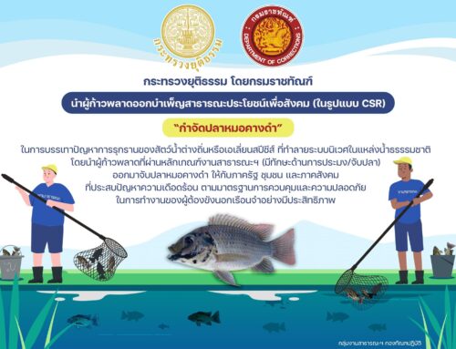 MOJ and DOC led the Working Inmates Catching Blackchin Tilapia CSR Campaign in Samut Songkhram and Prachuap Khiri Khan